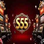 S55-game